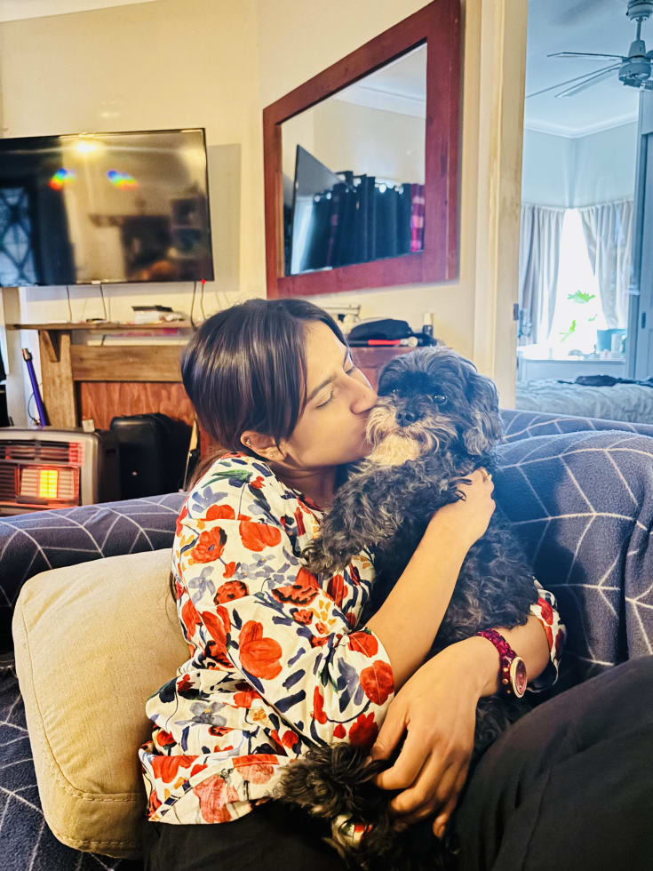 Photo in Sitter's gallery