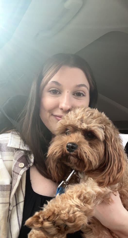 Photo in Sitter's gallery