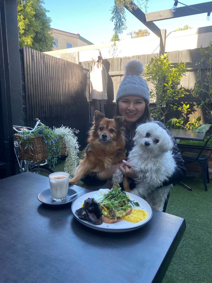 Photo in Sitter's gallery