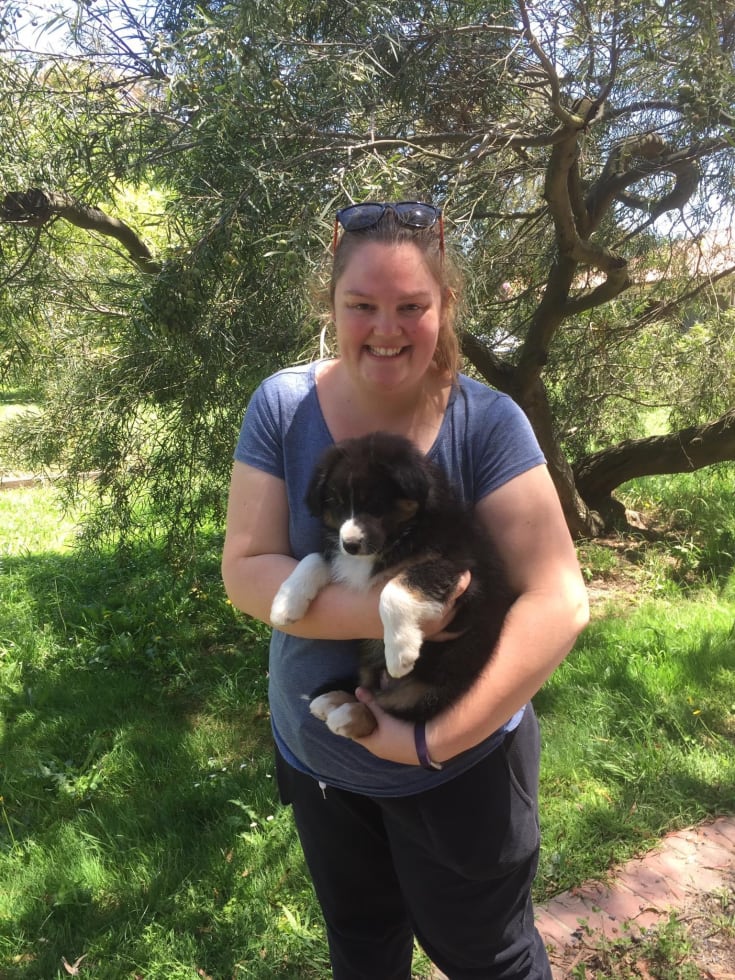 Photo in Sitter's gallery