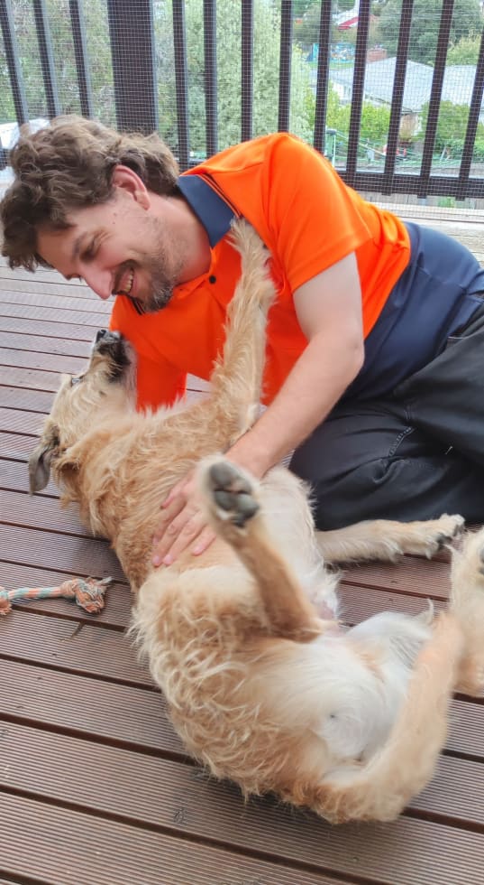 Photo in Sitter's gallery