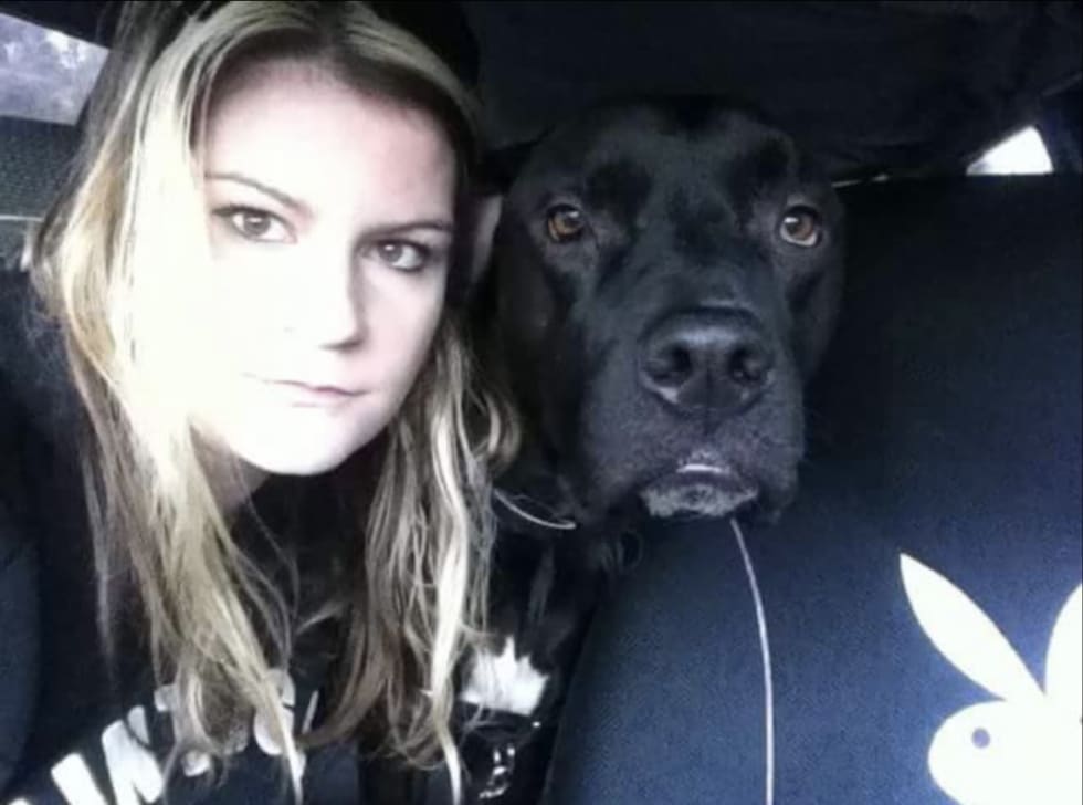 Photo in Sitter's gallery