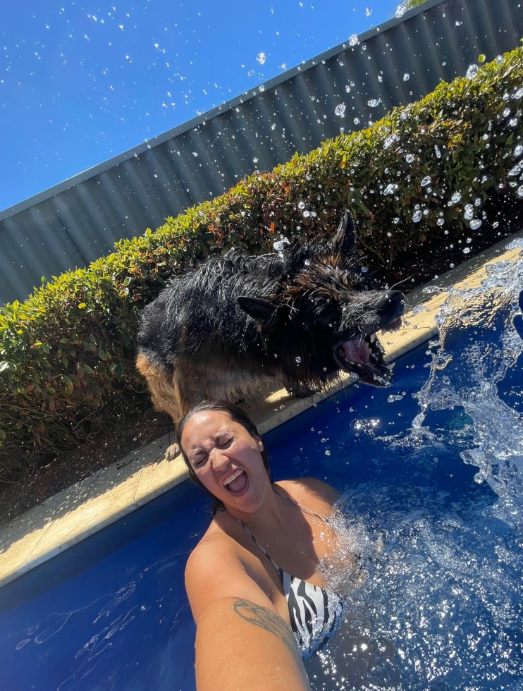 Photo in Sitter's gallery