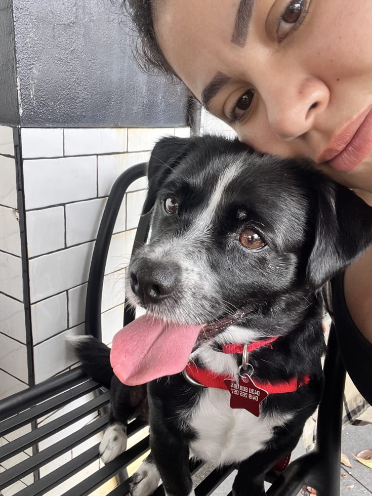 Photo in Sitter's gallery