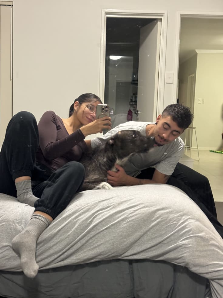 Photo in Sitter's gallery