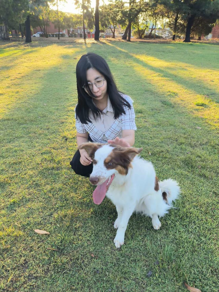 Photo in Sitter's gallery