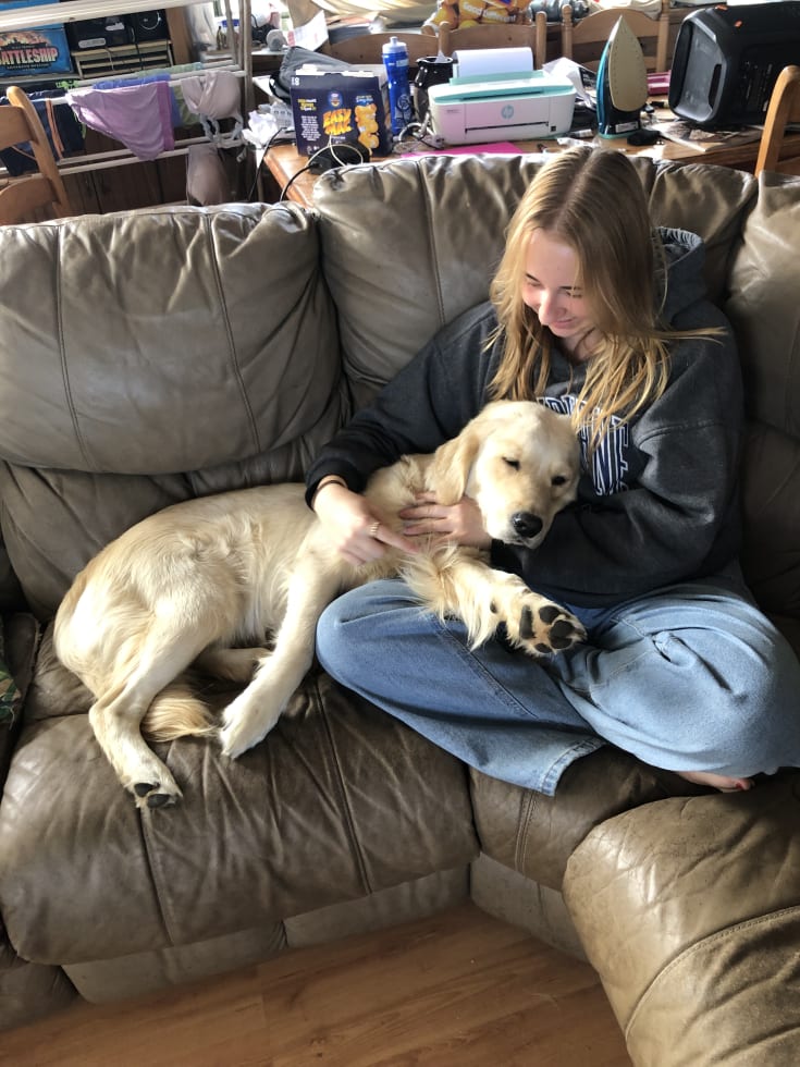 Photo in Sitter's gallery