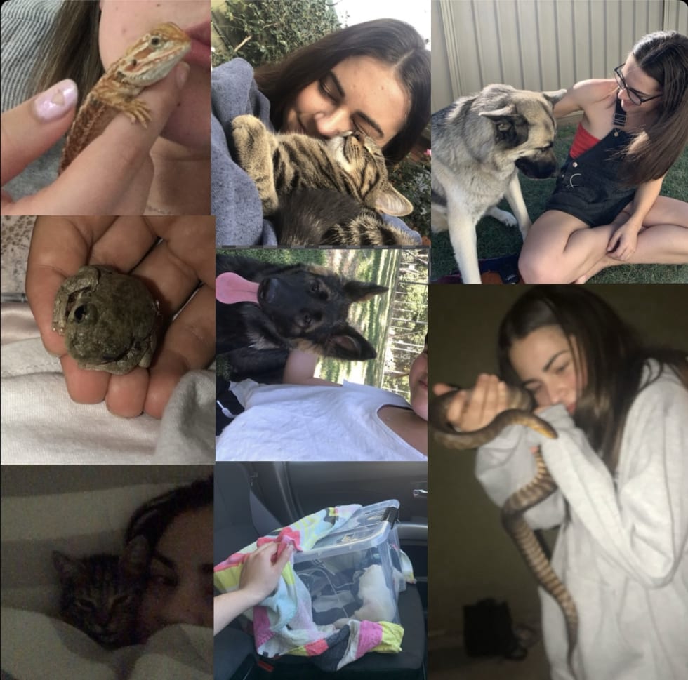 Photo in Sitter's gallery