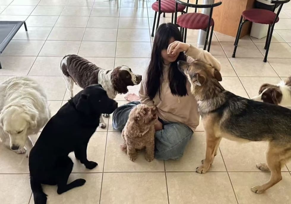 Photo in Sitter's gallery