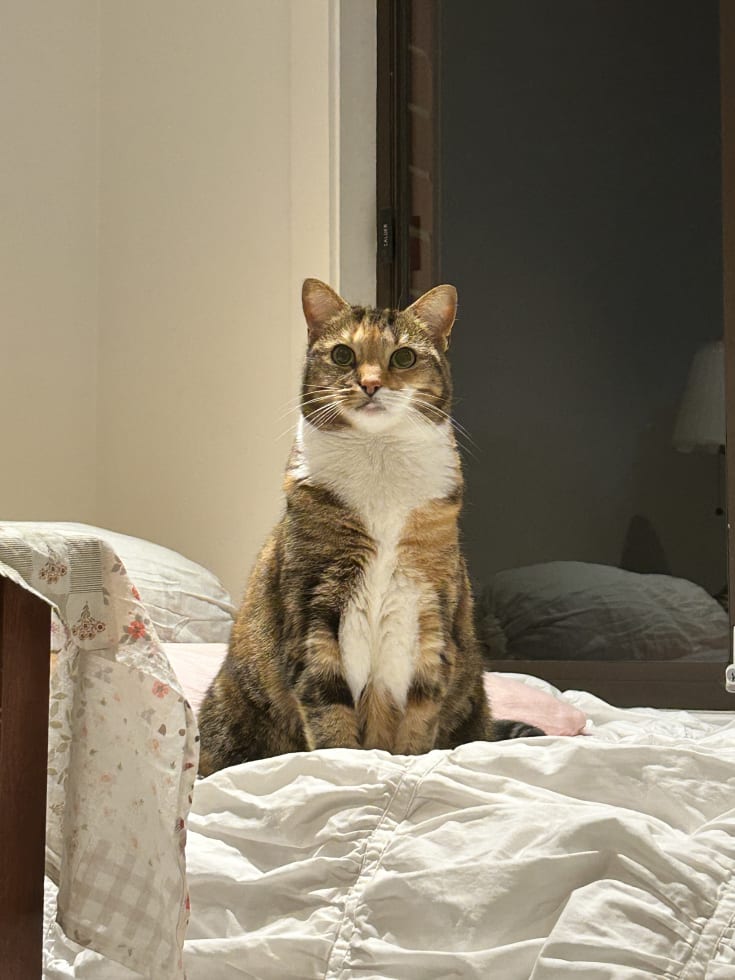 Photo in Sitter's gallery