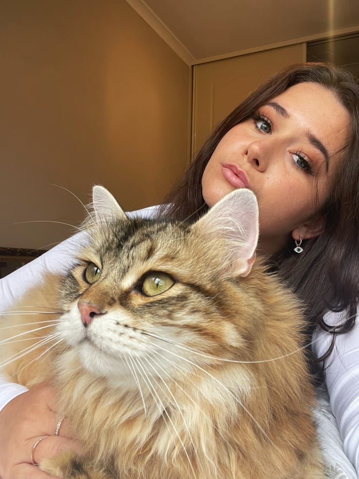 Photo in Sitter's gallery