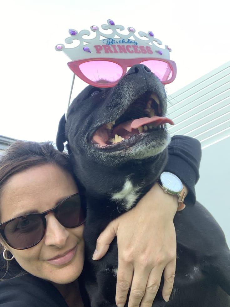 Photo in Sitter's gallery