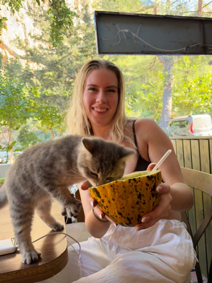 Photo in Sitter's gallery