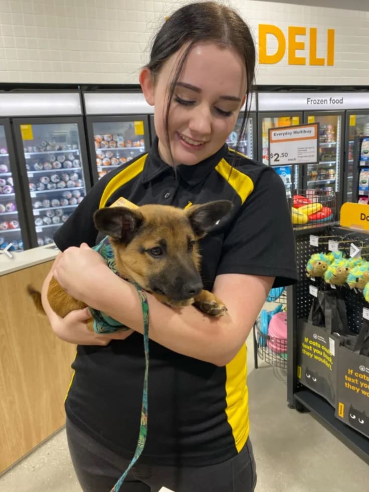 Photo in Sitter's gallery