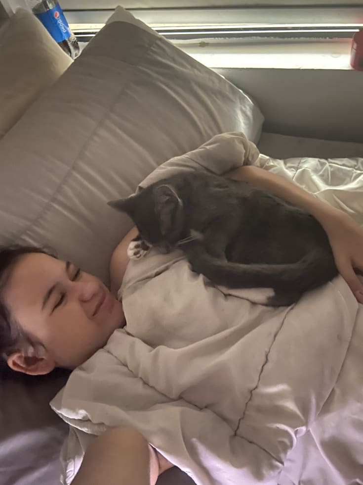 Photo in Sitter's gallery