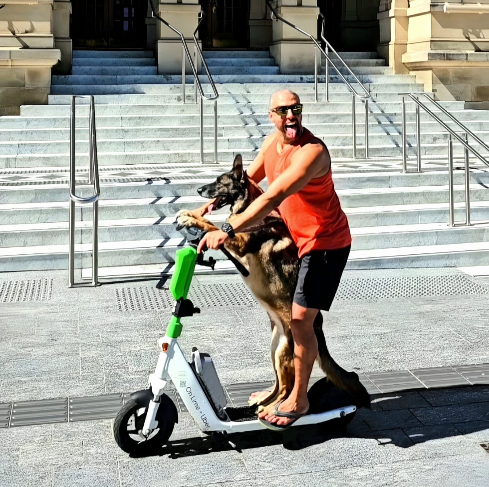 Photo in Sitter's gallery