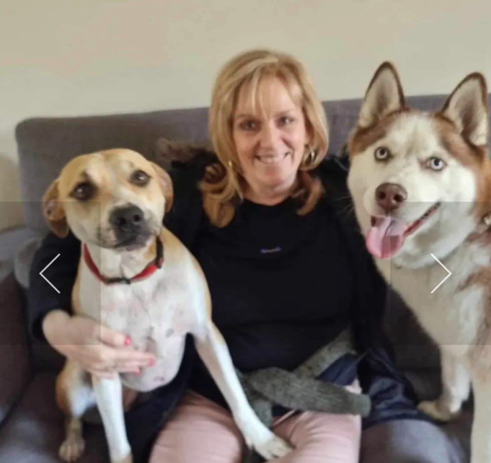 Photo in Sitter's gallery