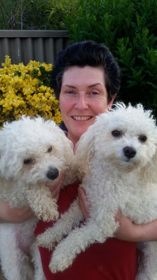 Photo in Sitter's gallery