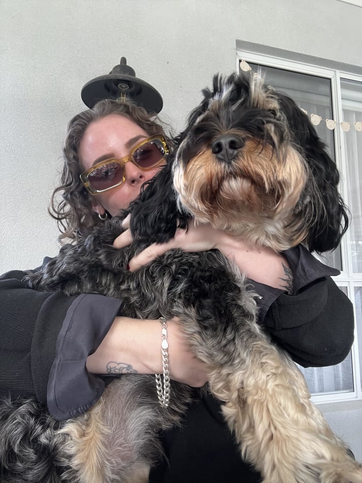 Photo in Sitter's gallery