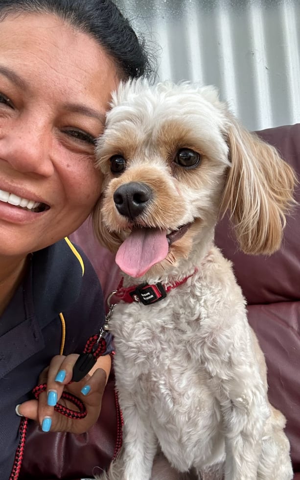 Photo in Sitter's gallery