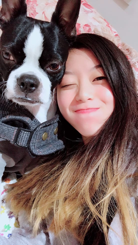 Photo in Sitter's gallery