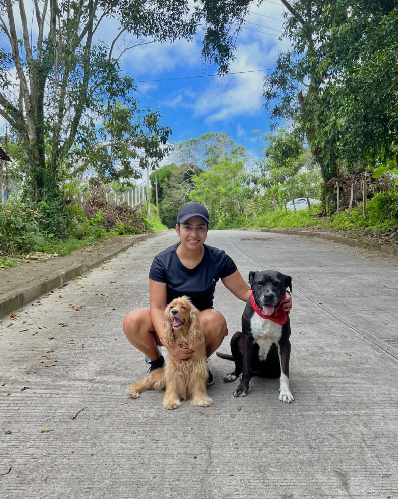 Photo in Sitter's gallery