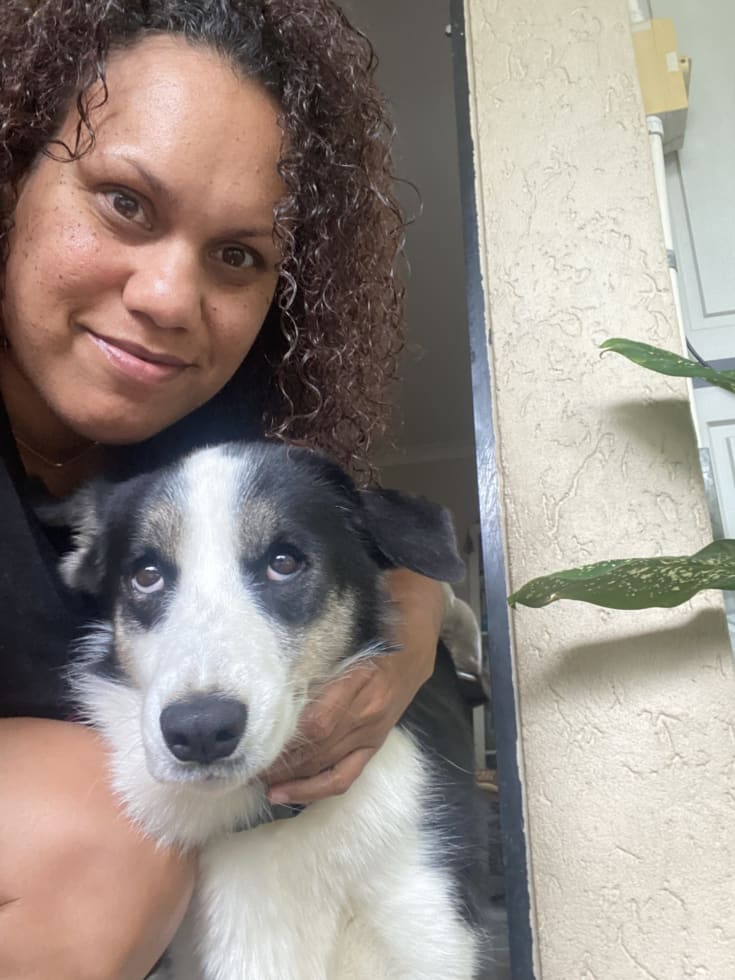 Photo in Sitter's gallery