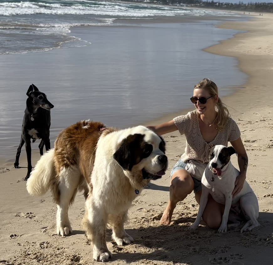 Photo in Sitter's gallery