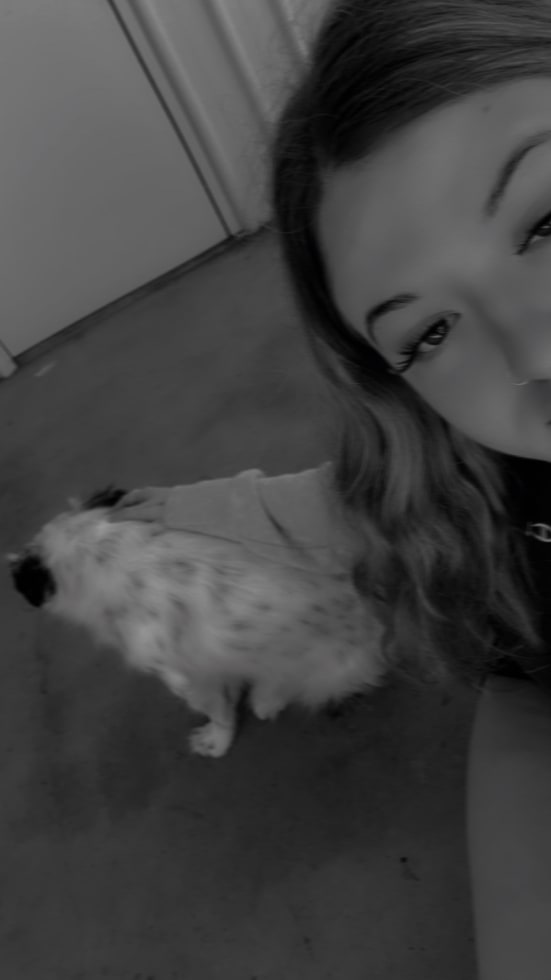 Photo in Sitter's gallery