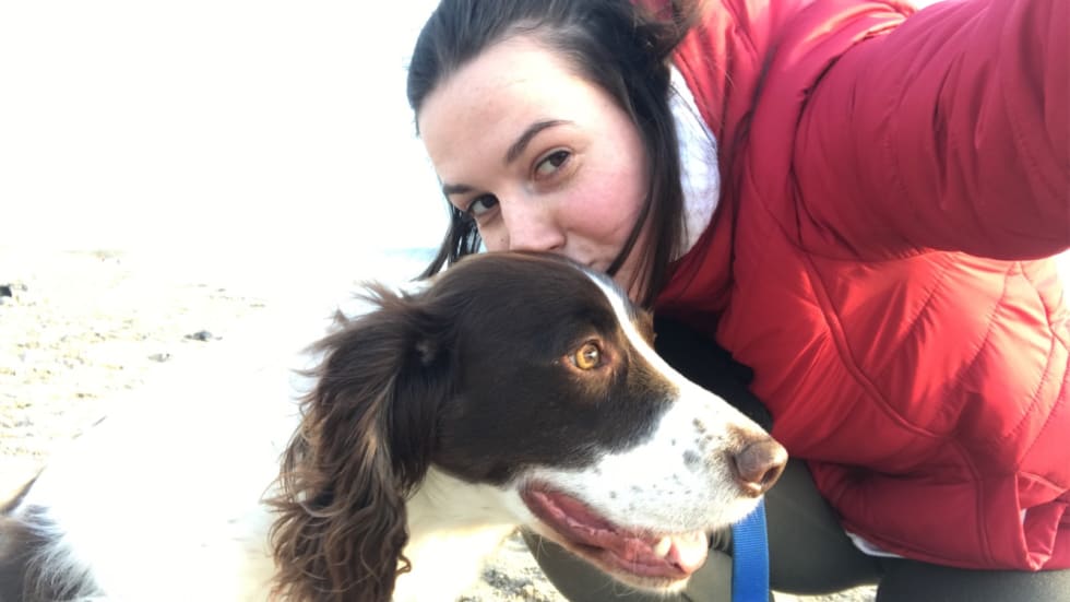 Photo in Sitter's gallery