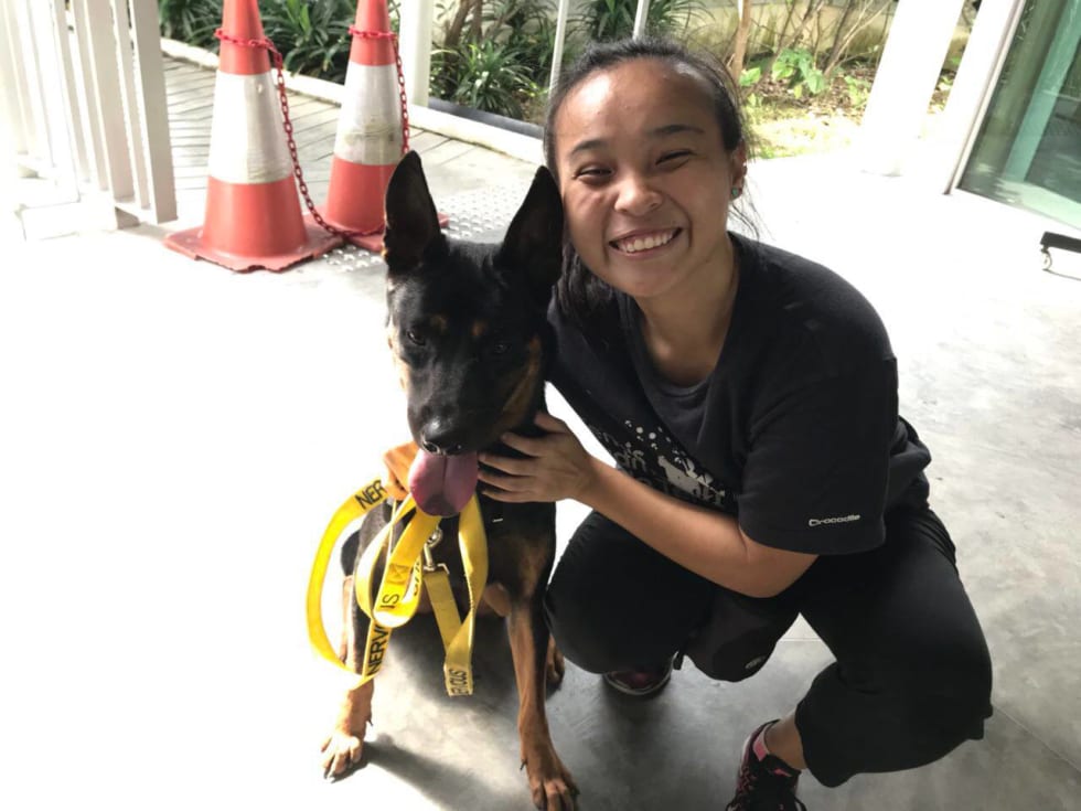 Photo in Sitter's gallery