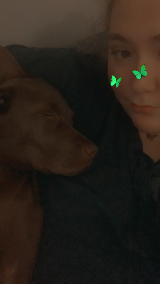 Photo in Sitter's gallery