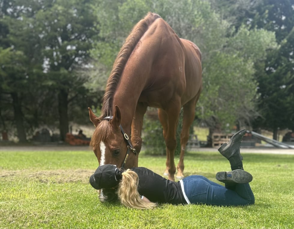 Photo in Sitter's gallery