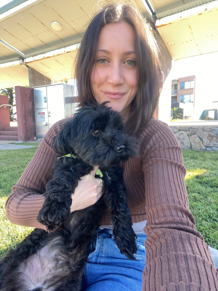 Photo in Sitter's gallery