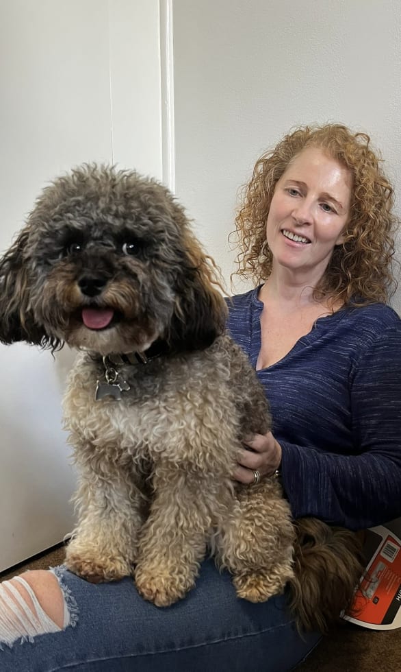 Photo in Sitter's gallery