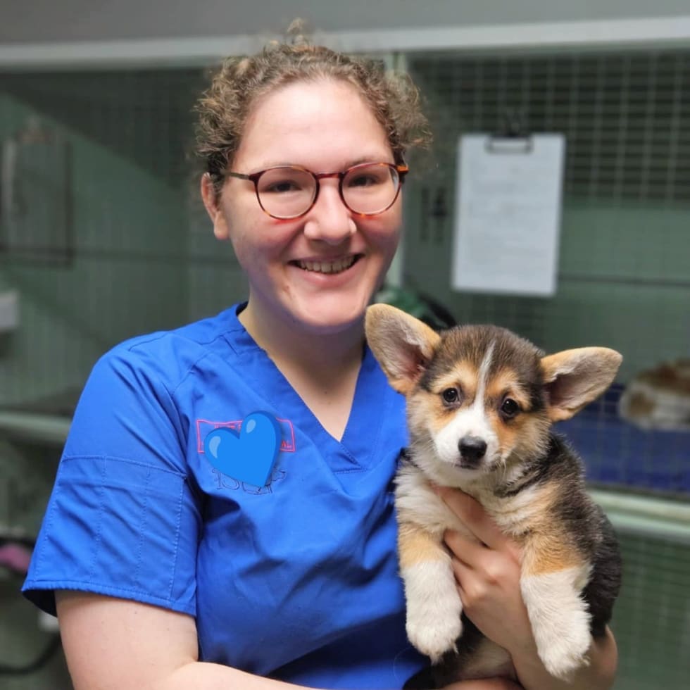 Photo in Sitter's gallery