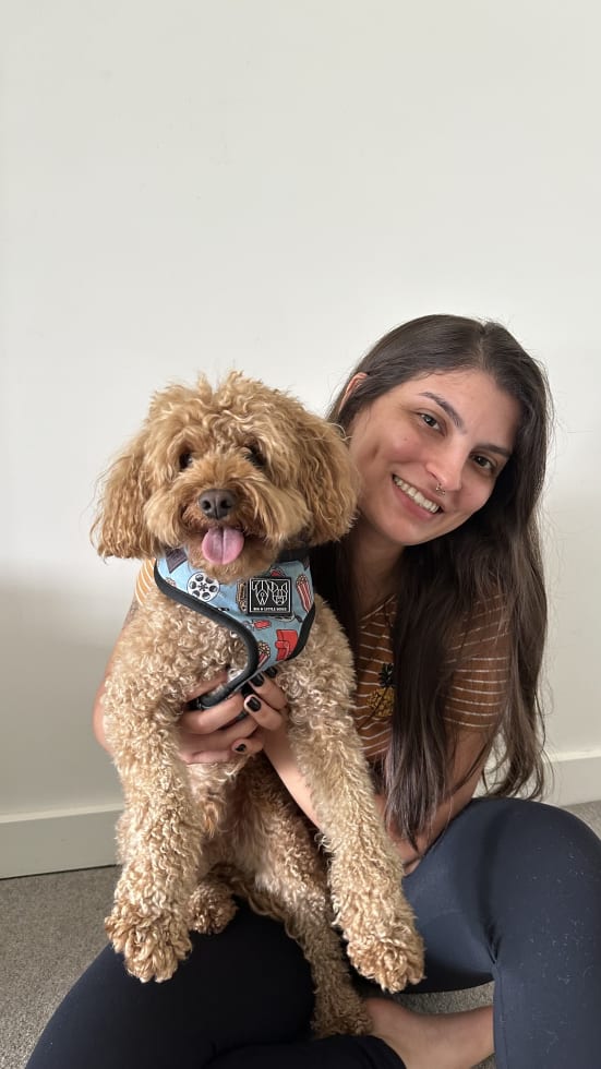 Photo in Sitter's gallery