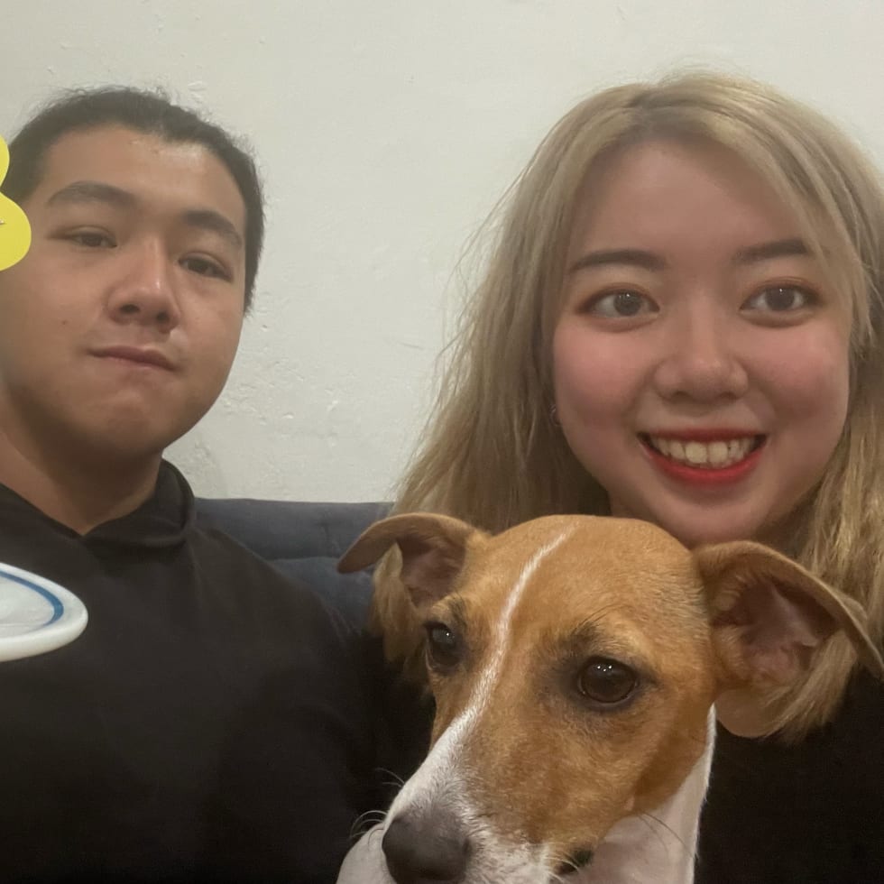 Photo in Sitter's gallery