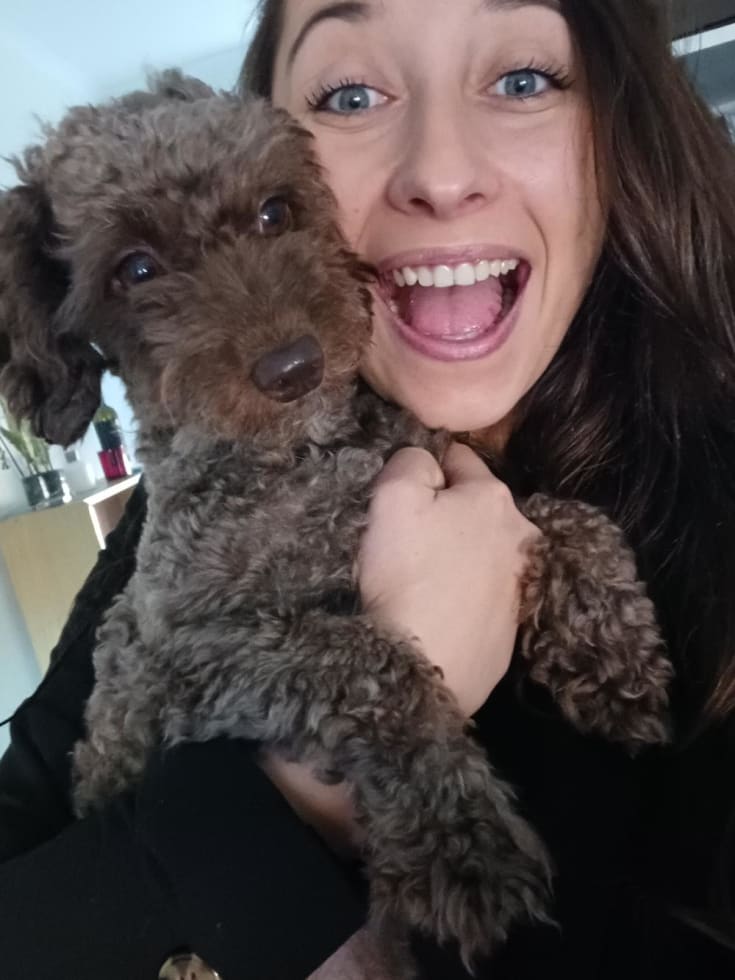 Photo in Sitter's gallery