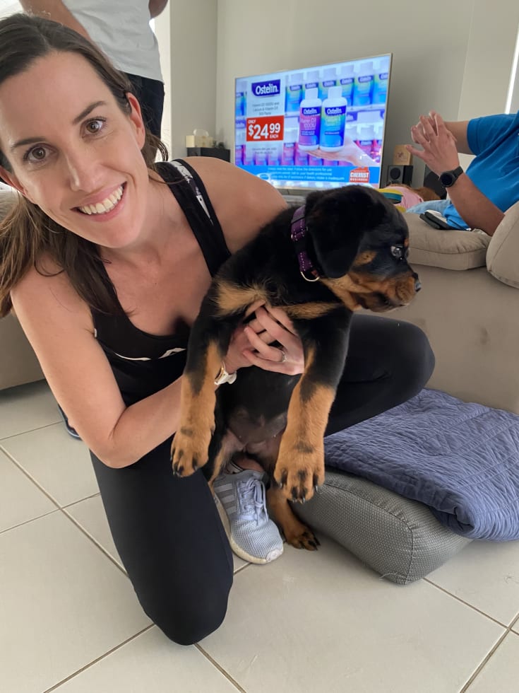 Photo in Sitter's gallery