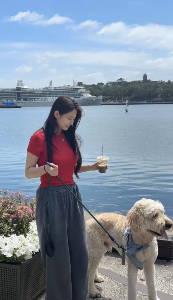 Photo in Sitter's gallery