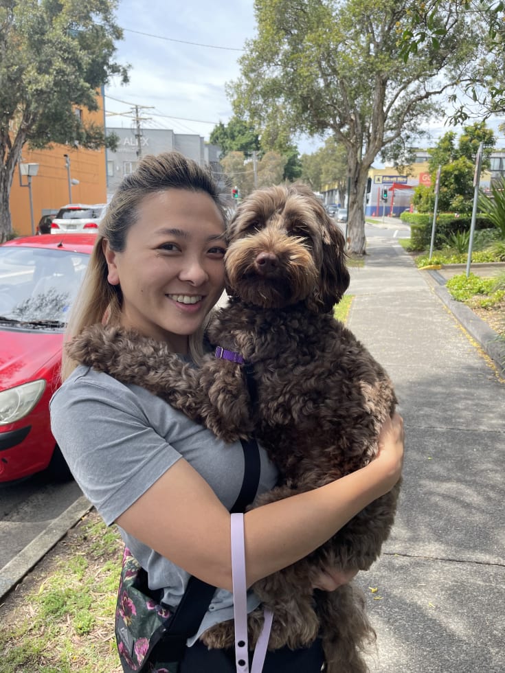 Photo in Sitter's gallery