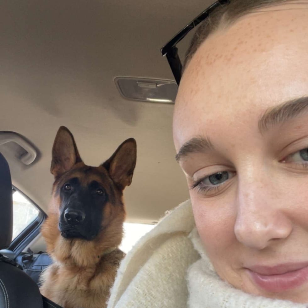 Photo in Sitter's gallery