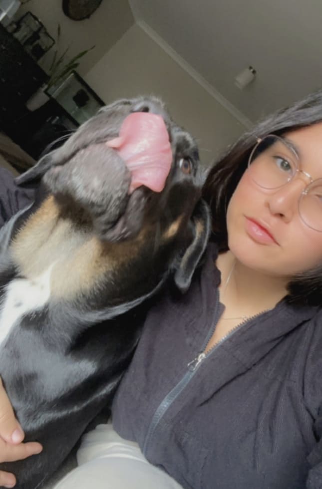 Photo in Sitter's gallery