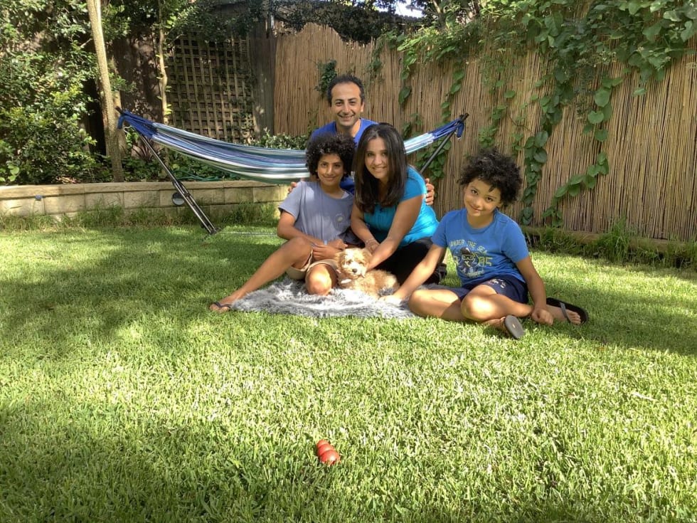 Photo in Sitter's gallery