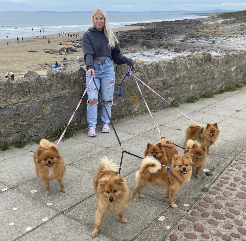 Photo in Sitter's gallery