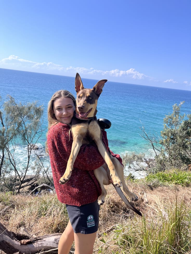 Photo in Sitter's gallery