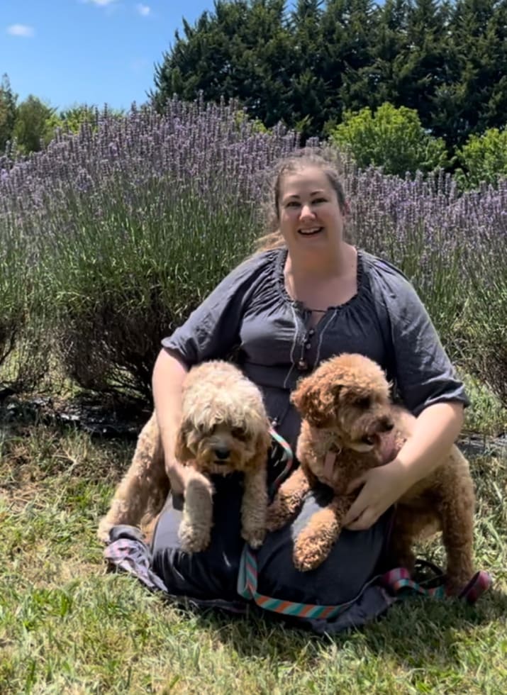 Photo in Sitter's gallery