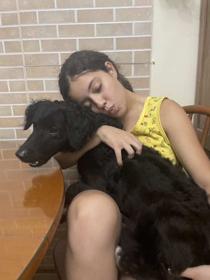 Photo in Sitter's gallery