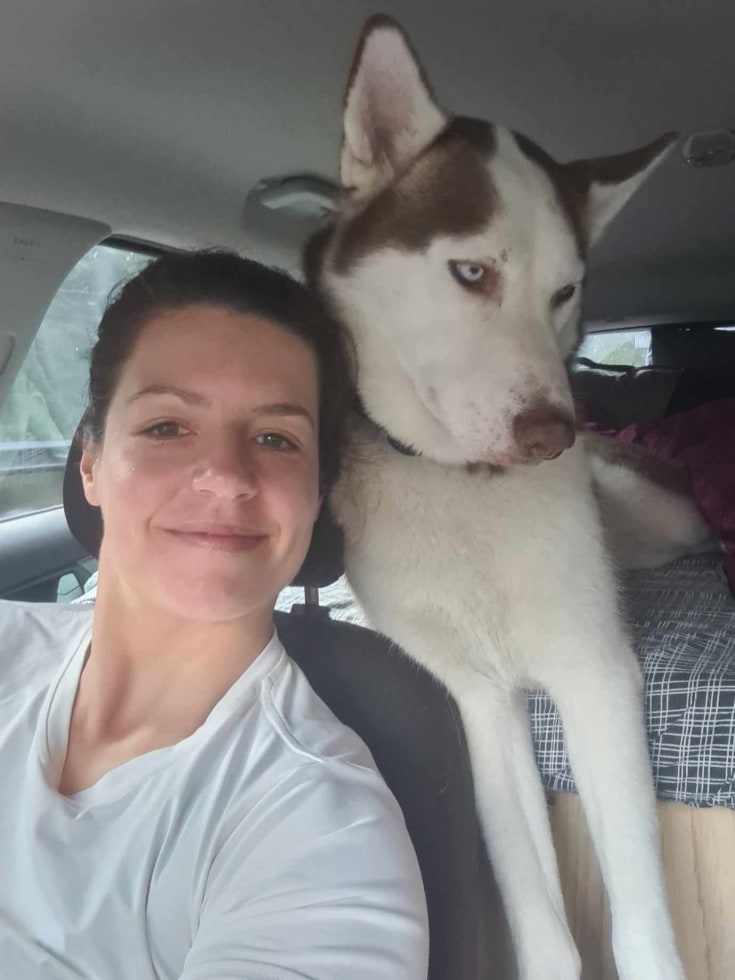 Photo in Sitter's gallery